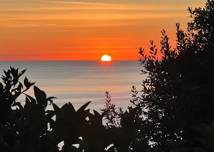 Un Coin De Paradis Avec Vue Mer Et Jardin